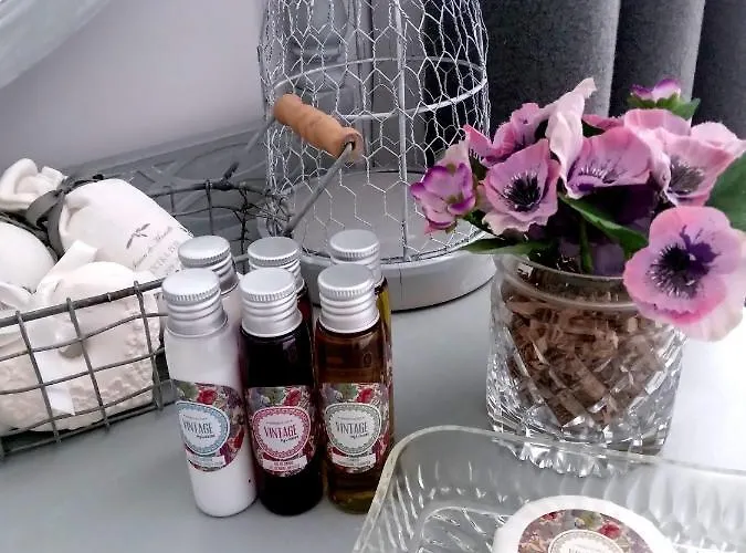 La Belle Vienne Exideuil-sur-Vienne